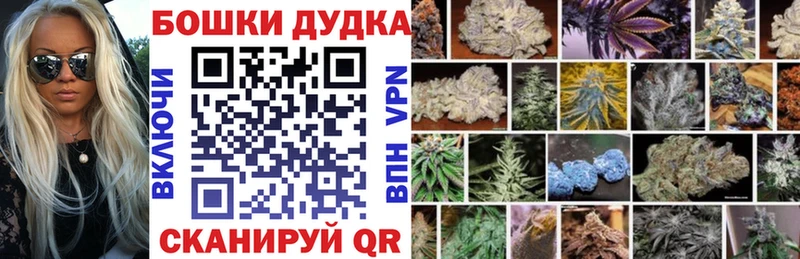 где продают наркотики  Клинцы  блэк спрут ONION  Бошки Шишки Amnesia 